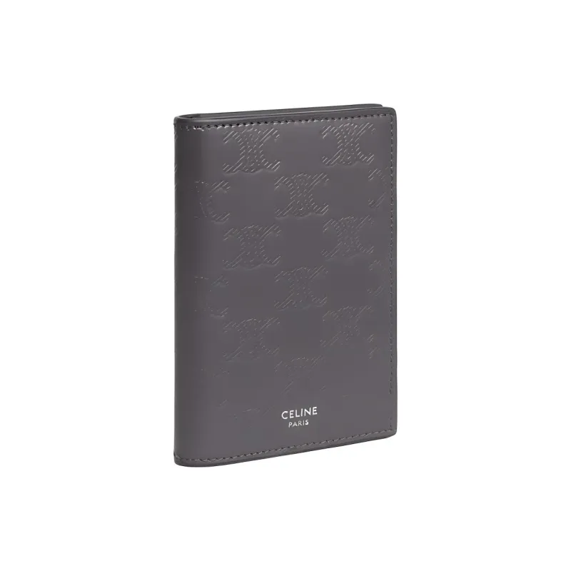 CELINE Triomphe Calfskin Card Holder Men's Gray-1