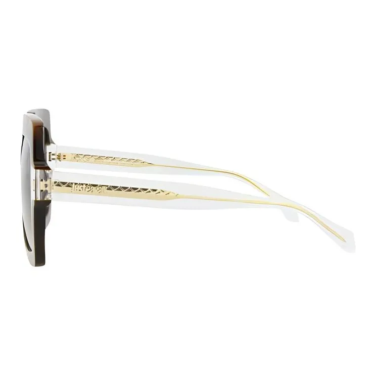 Just Cavalli Plastic Irregular Shape Sunglasses Women's Tortoiseshell-2