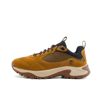 Timberland Hiking/Trekking Shoes Men's Brown