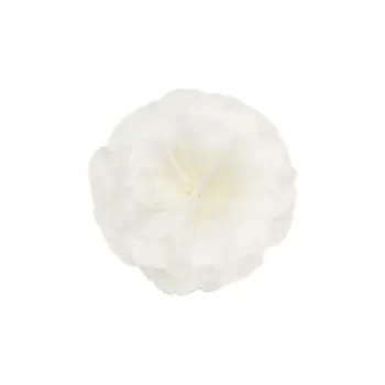 CELINE Fleur CELINE Œillet Lapel Pin In Silk Brass And Steel