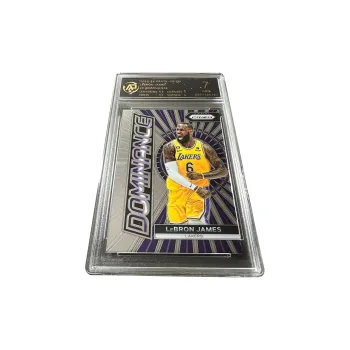 PANINI Los Angeles Lakers LeBron James Roar RPA High Score Star Card Rare Card Graded Cards 1 Pc