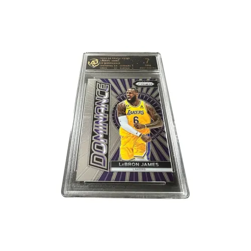 PANINI Los Angeles Lakers LeBron James Roar RPA High Score Star Card Rare Card Graded Cards 1 Pc