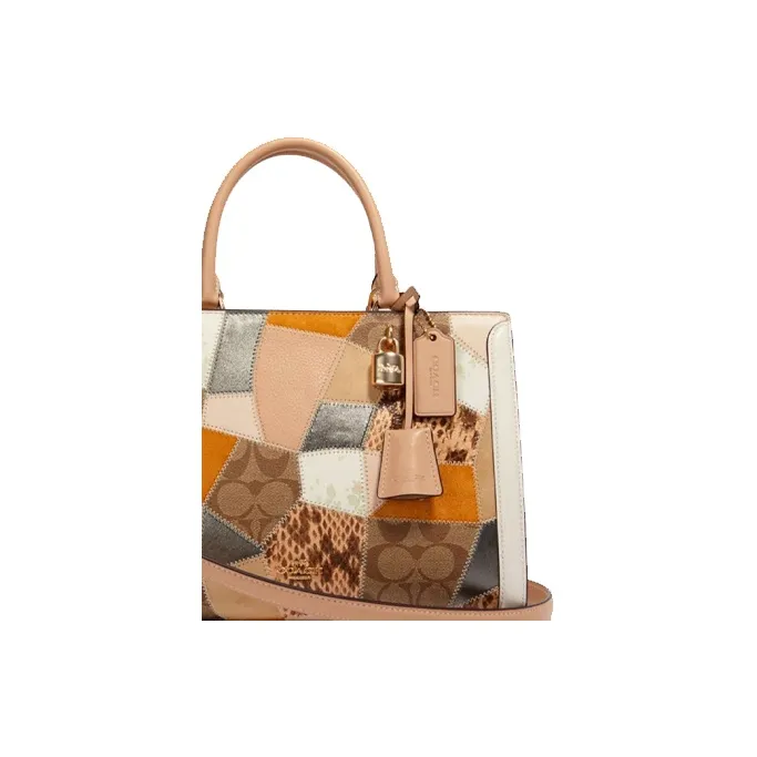 COACH Cow Leather Portable Crossbody Bag Shoulder Bag Medium Size Women's Multicolor-1