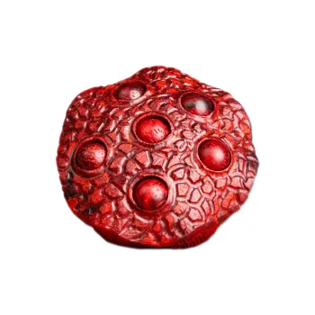 Xianyou Rosewood Collectible Unisex