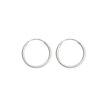 Beauty S925 Silver Earrings Women's