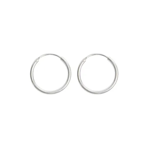 Beauty S925 Silver Earrings Women's