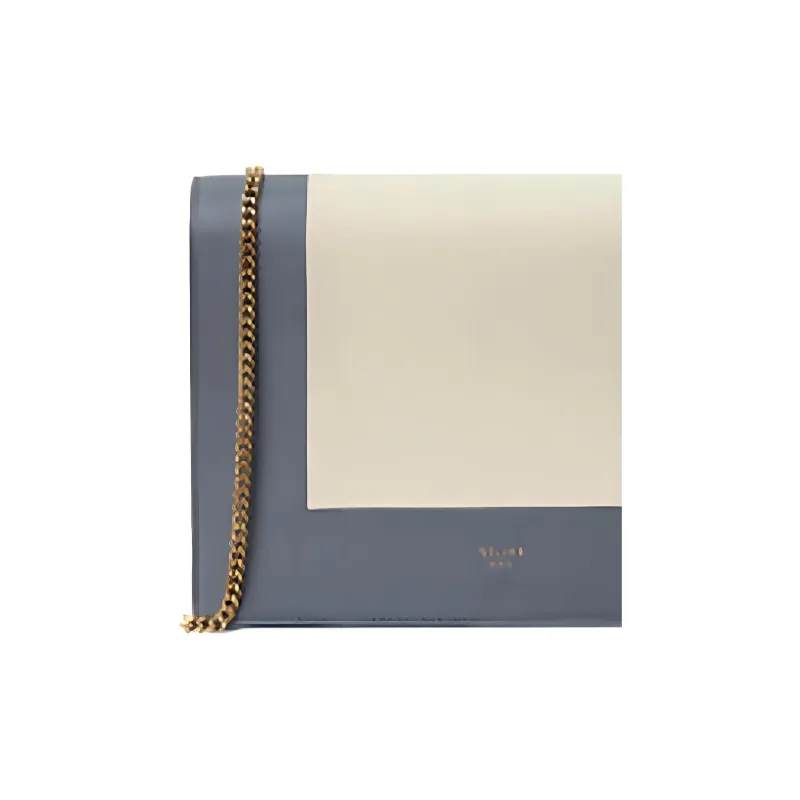 CELINE Frame Shoulder Bags-1