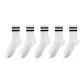 5 White Double Stripe