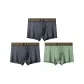 Lime Gray/Bamboo Green