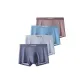 4 Pack (Red Coffee+Lake Blue+Silver Gray+Smoke Gray)