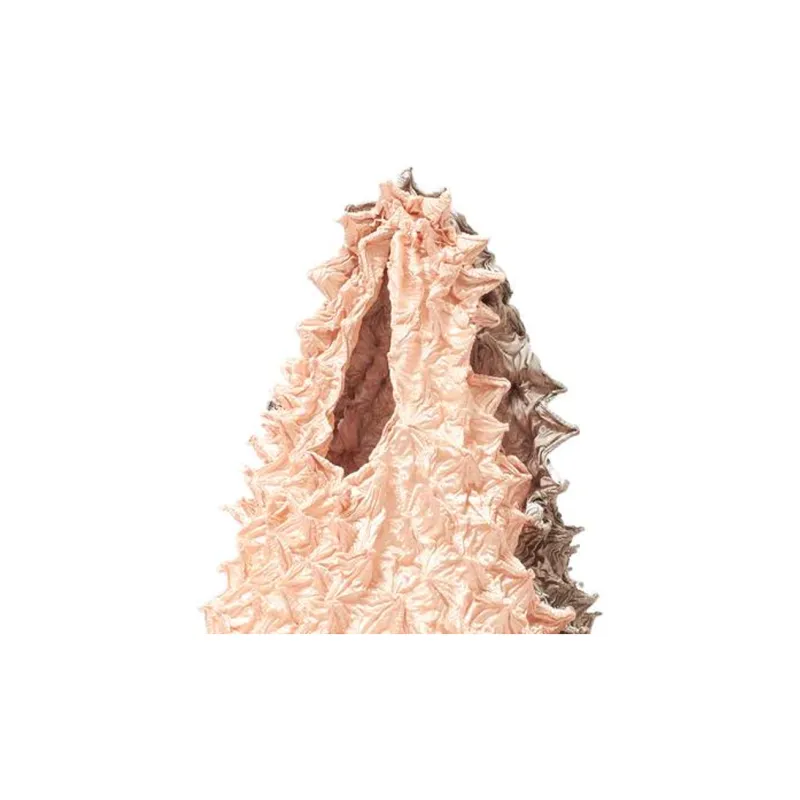 BUNZABURO Polyester Sea Cucumber Bag Durian Bag Handbag Regular Unisex Shirley Rose-2