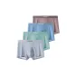 4 Pack (Red Coffee+Lake Blue+Lake Green+Silver Gray)