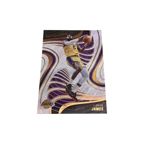 PANINI 2018 19 LeBron James, Material, Crown Sports Cards 1 Pc
