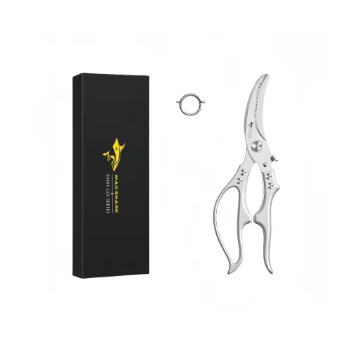 Musical Instruments & Accessories