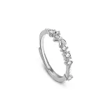 Sweetheart Princess Ring-Smooth Surface Style