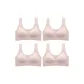 4-Pack (New Elegant Pink)