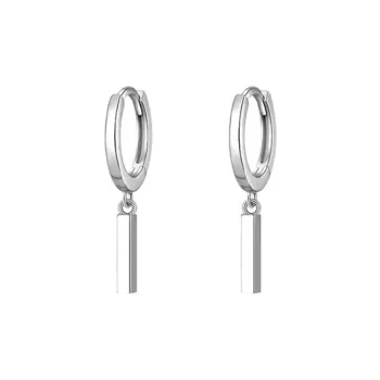 WANLIACC S999 Fine Silver Earrings Unisex