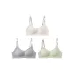 3 Pack (Champagne+Gray+Vanilla Green)