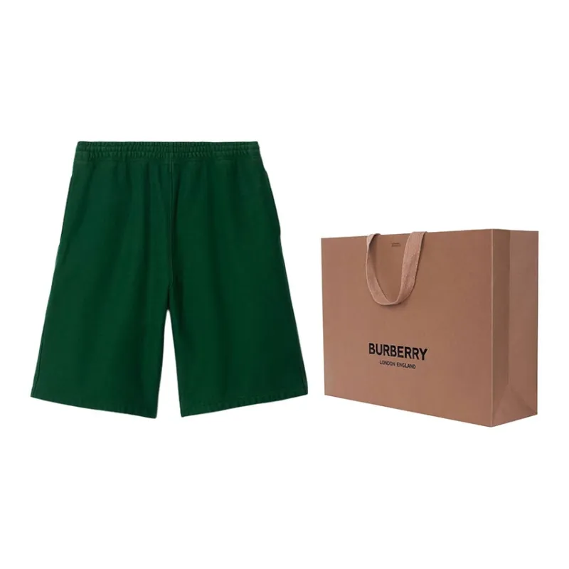 Burberry Check-label Shorts-12