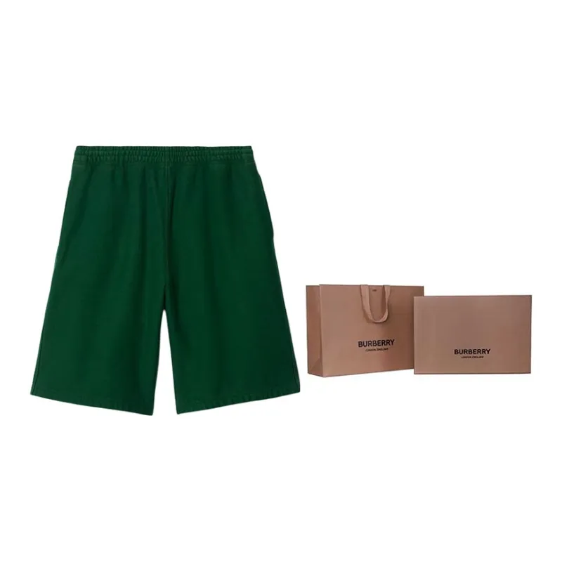 Burberry Check-label Shorts-14