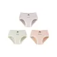 3 Pack (B-Shrimp Pink+Green+Purple)