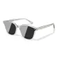 Light Gray Frame with Gray Lens