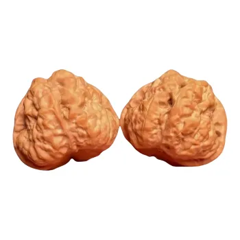 Noritake Text Plays Walnuts Collectible Unisex