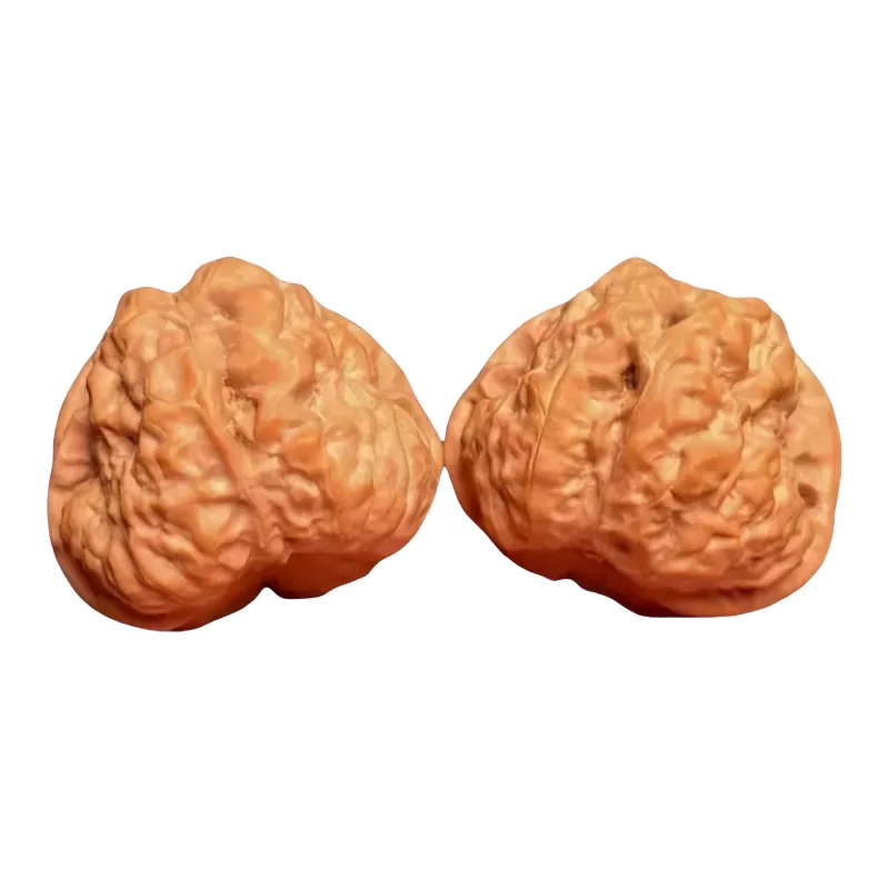 Noritake Text Plays Walnuts Collectible Unisex-0