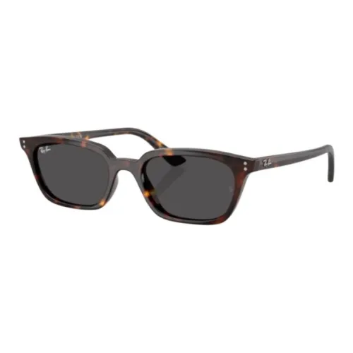 RayBan Zaya Sunglasses