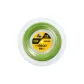 TS5600-Large Bean Green