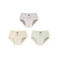 3 Pack (D-Green+Purple+Grass Green)