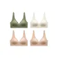 4 Pack (Tea Green+Ecru+2 Skin)