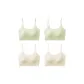 4 Pack-Fresh Green 2+Champagne 2