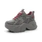 Gray Red
