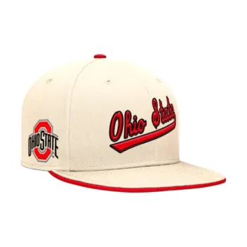 Nike Ohio State Buckeyes Primetime True Men's Nike Dri FIT College Fitted Hat