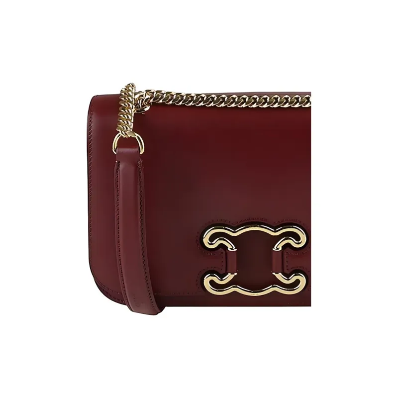 CELINE Triomphe Shiny Calfskin Chain Bag Handbag Shoulder Bag Medium Size Women's Burgundy-1