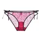 Dragon Fruit Red