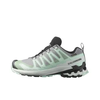 SALOMON Xa Pro 3D V9 Gore Tex Sneakers Women's
