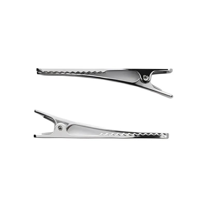 Burberry Brass Palladium-Plated Gold Hair Clips Women's Silver-1