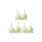 3 Pack-Light Green