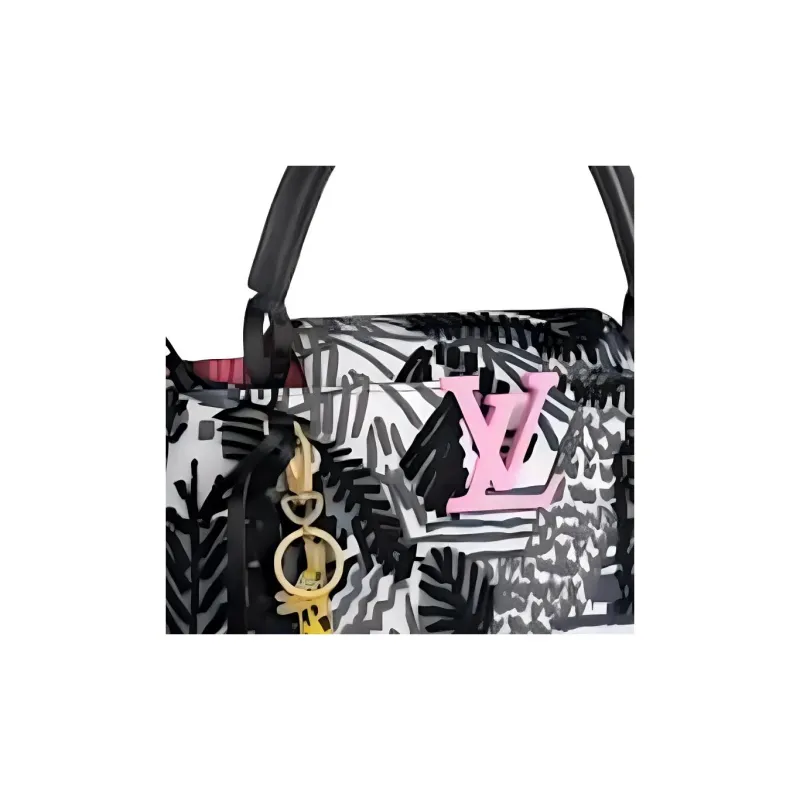 LOUIS VUITTON ArtyCapucines Jonas Wood Pm Black/White-3