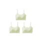 3 Pack-Fresh Green