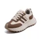 Beige Brown