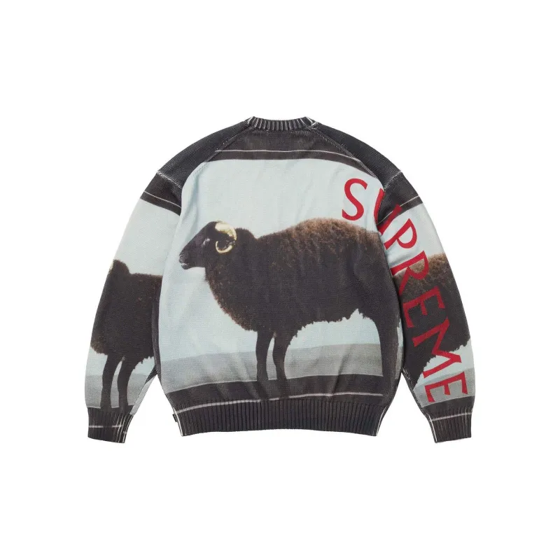 Supreme Damien Hirst Sweater-3