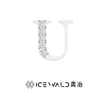 ICEWALD 925 Sterling Silver Necklaces Unisex