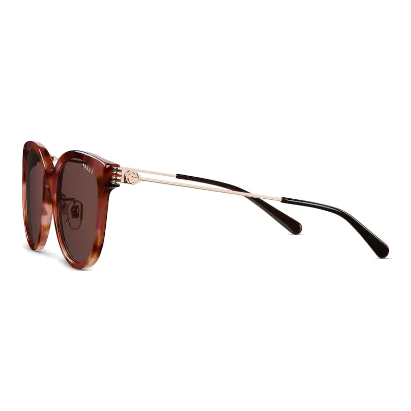 GUCCI Metal Acetate Round Sunglasses Women's Brown-1