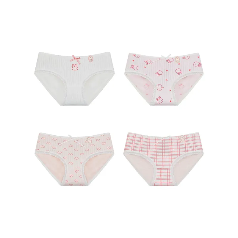 Cotton Gene Underpants Women's 4 Pack-15