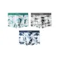 3 Pack (Celadon Green+Stone Gray+Autumn Water Blue)