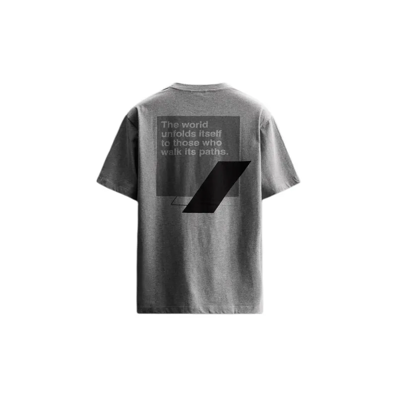 ZARA T Shirt Men's Zebra Print Gray-1