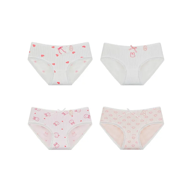 Cotton Gene Underpants Women's 4 Pack-9